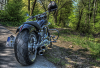Chopper-in-the-forest