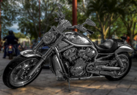 The-silver-bike