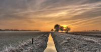 Winter-morning