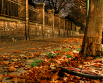 -zotin-com-autumn-lost-its-wheel-