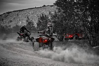 Rally