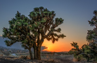 High-desert-sunset