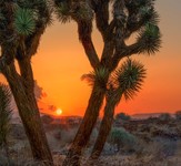 High-desert-sunset-ii