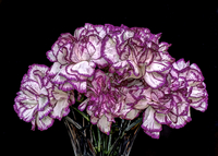 Flowers-in-vase