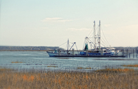 Shrimp-boat-hilton-head-island
