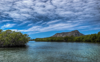 El-morro-a-view-from-the-mangroves-