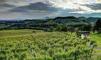 Prosecco-s-valley