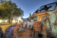 Derelict