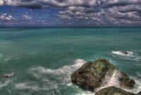 Greensea