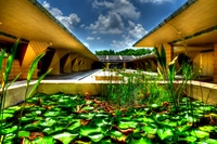 Frank-lloyd-wright