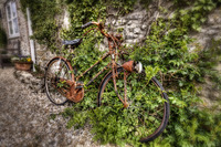 Forgotten-velocpeed-