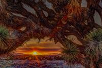 Antelope-valley-sunset