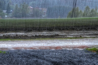 Norwegian-summer