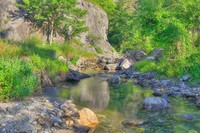 Simply-nature
