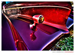 Boat-tail-auburn-replica