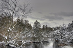 Manahawkin Marsh