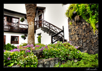 Jameos-del-agua