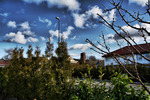 View-from-garden