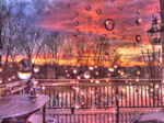 A-backyard-sunset