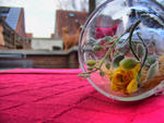 Decoration-on-the-table