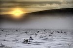White-desert