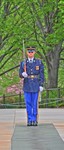 Changing-of-the-guard