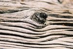 Wood-grains