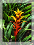 Htmac5yj02