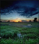 Landscape-village