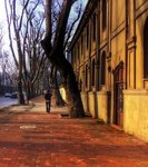 A-man-walking-in-peace-