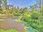 Fota-park-hdr