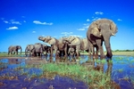 -strikingly-beautiful-shots-of-etosha-national-park-namibia-