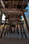 Avalon-pier-sunrise