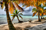Saona-island