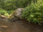 Cracked-rock