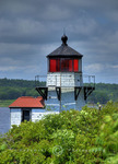 Squirrel-point-light