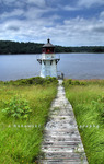 Squirrel-point-light