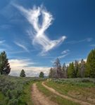 X-marks-the-spot