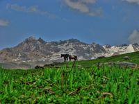Picture_597_5_6_edit