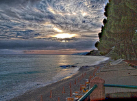 36074054_copia