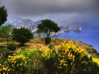 Capri