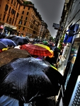 Umbrella2