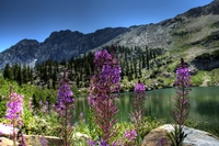 _dsc4608_hdr_1