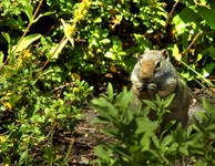 _dsc4604_hdr_1