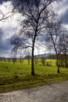 Img_1886_hdr