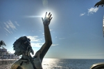 Reach-for-the-sun