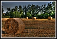Hdr00001