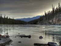 Near_athabasca_falls