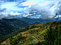 Mt_pulag-_img_3081