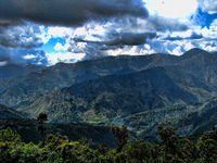 Mt_pulag-_img_2764